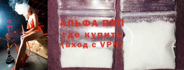 стаф Баксан